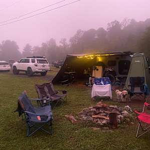 Pisgah Forest Mountain Meadows