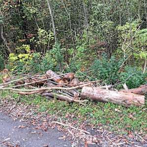 firewood?