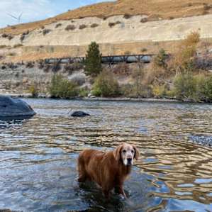 Buck Meadows River Frontage