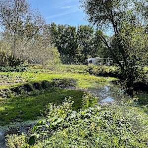 The creek that wanders through the pasture
