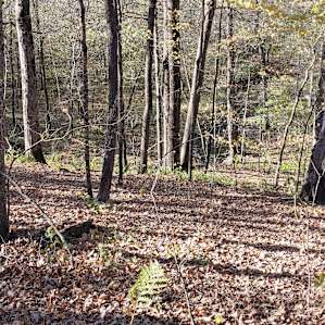 Prairie Creek Campground