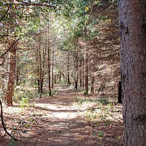 Prairie Creek Campground
