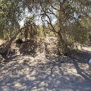 Hideaway Oaks
