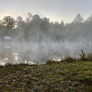 Morning mist