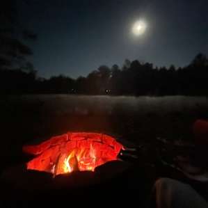 Beautiful night next to the pond.