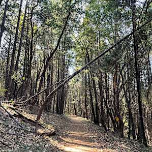 Trail to nearby farm