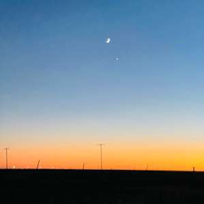 Coyote Breaks Farm