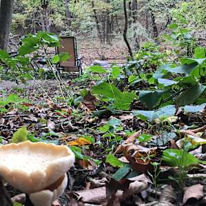 CreekSide Camping 2