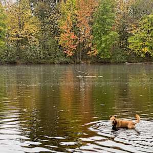 Private Wisconsin River Oasis