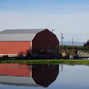 Pond