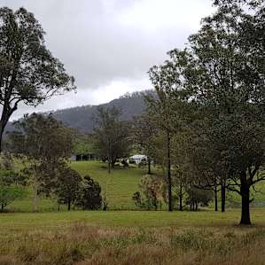 Mistan Valley Farm - The Creek