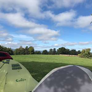 Green fields and blue skies = happy campers