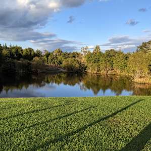 The pond.