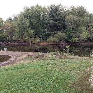 Peaceful Camping at Willowthorne