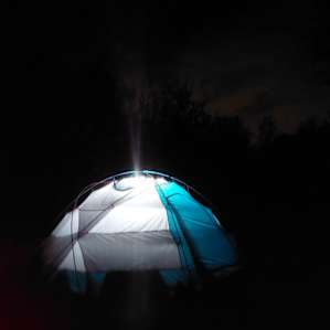 Peaceful Camping at Willowthorne