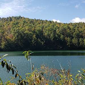 Little Green Yurt of Cedar Mountain