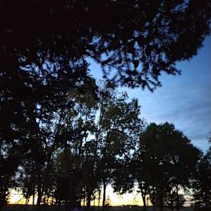 Shady Grove at OwlTree Farm