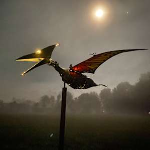 Cool pterodactyl sculpture at night.
