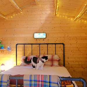Close-in quaint cabin!