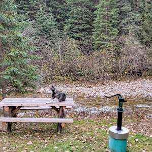 Mad Fox Riverside Cabin