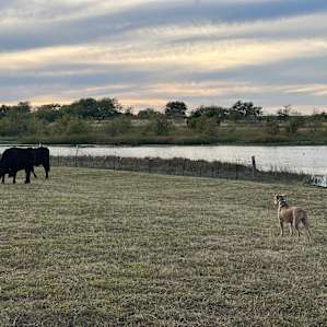 Akachi Ranch