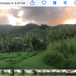 Sunset from the back of the property