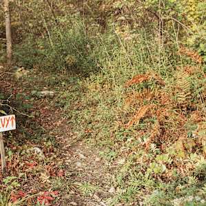 The outdoor toilet is set back a short distance from the tent, clearly marked and totally private!