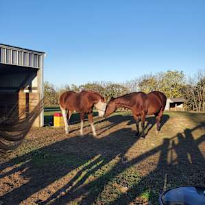 Breakaway Stables