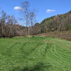 Scenic creek with rolling hills