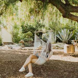 Beautiful swing hanging from the pepper tree over the site