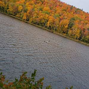 Beautiful location for kayaking and seeing the autumn colors!