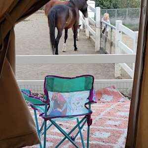 Animal Lover's bell tent glamping