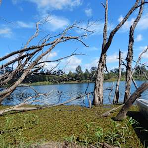 Paradise Lost on the Burnett