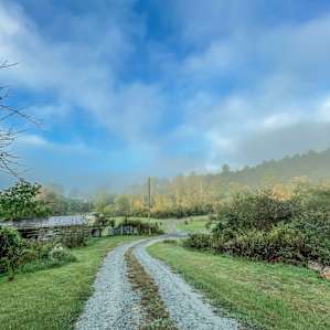 Pisgah Forest Mountain Meadows