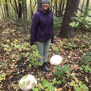 Giant puffballs