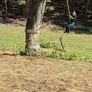 The Rope Swing