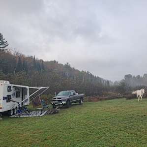 Run Wild! Tranquil Hobby Farm