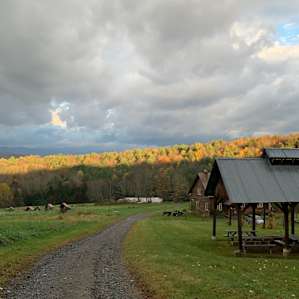 Hidden Meadow Tent Site