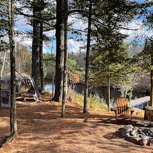 Eagle Pines On The Bad River
