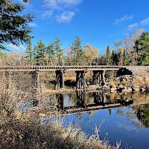 Eagle Pines On The Bad River
