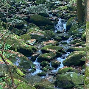 Magical Creekside Escape