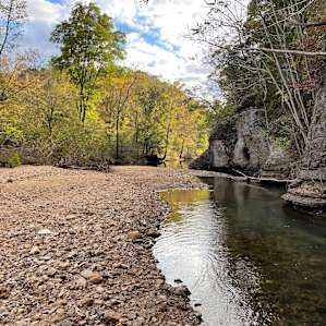 Creekside tent camping!