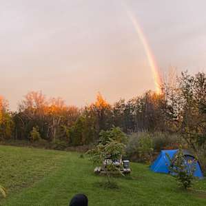 Meadow's Edge @ The Forest Garden