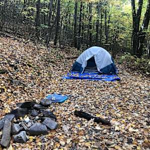 Shenandoah NP Ridge
