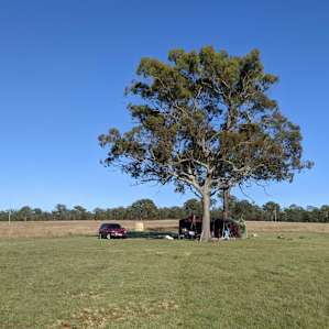 Camp site