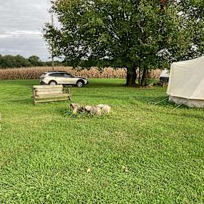 The Farm Camp