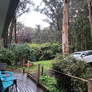 The cottage deck