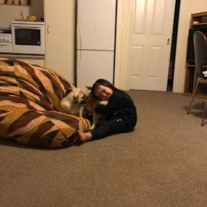 Pug’s love