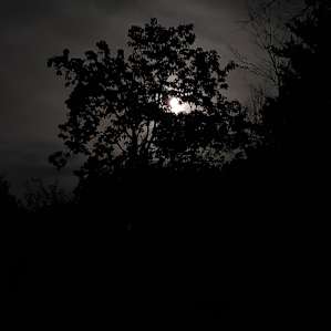 View from the fire pit!