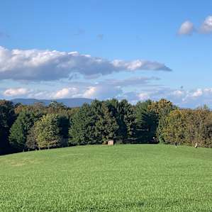 Camp Loudoun